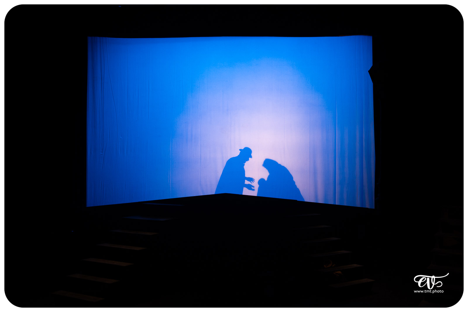 OLIVER TWIST (CIE LA MESNIE H.)